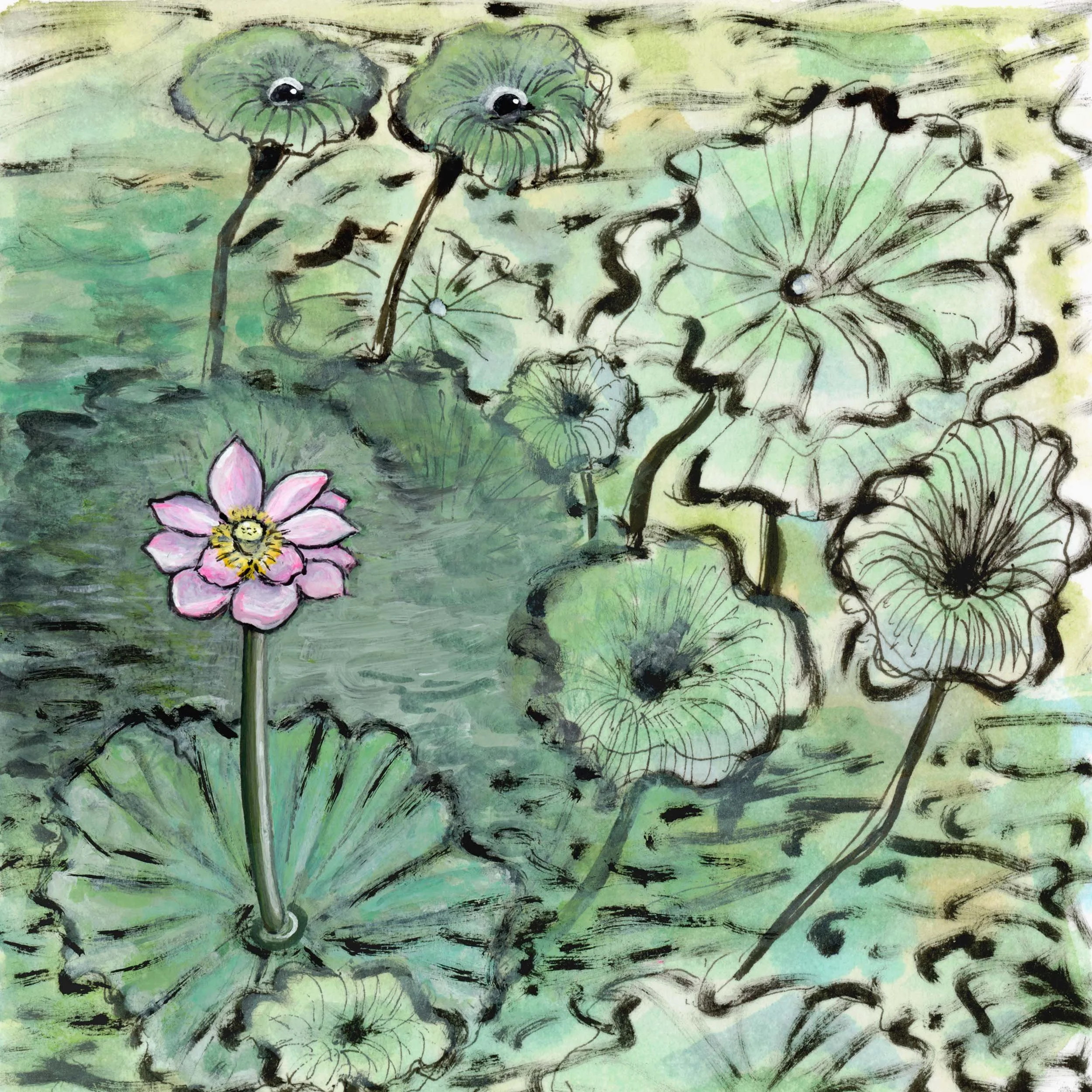 63/131 lotus admiration