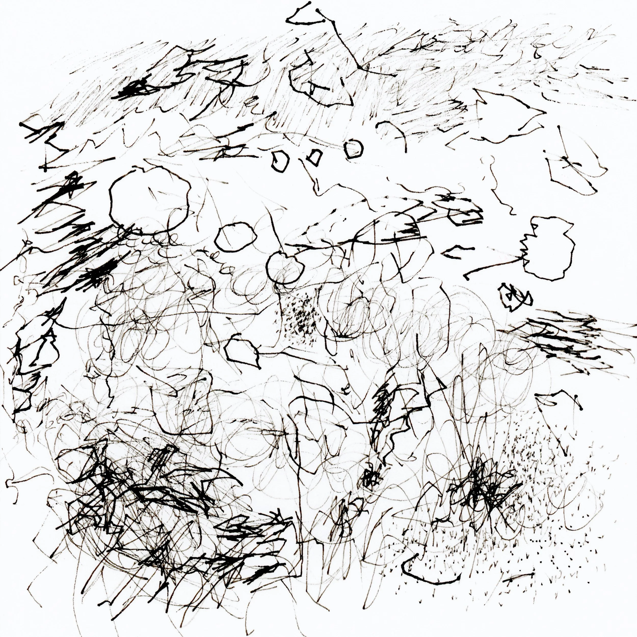 71/131 riding the yellow line