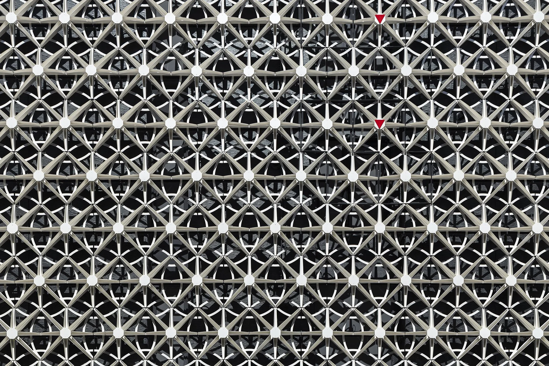 _61A9851.jpg