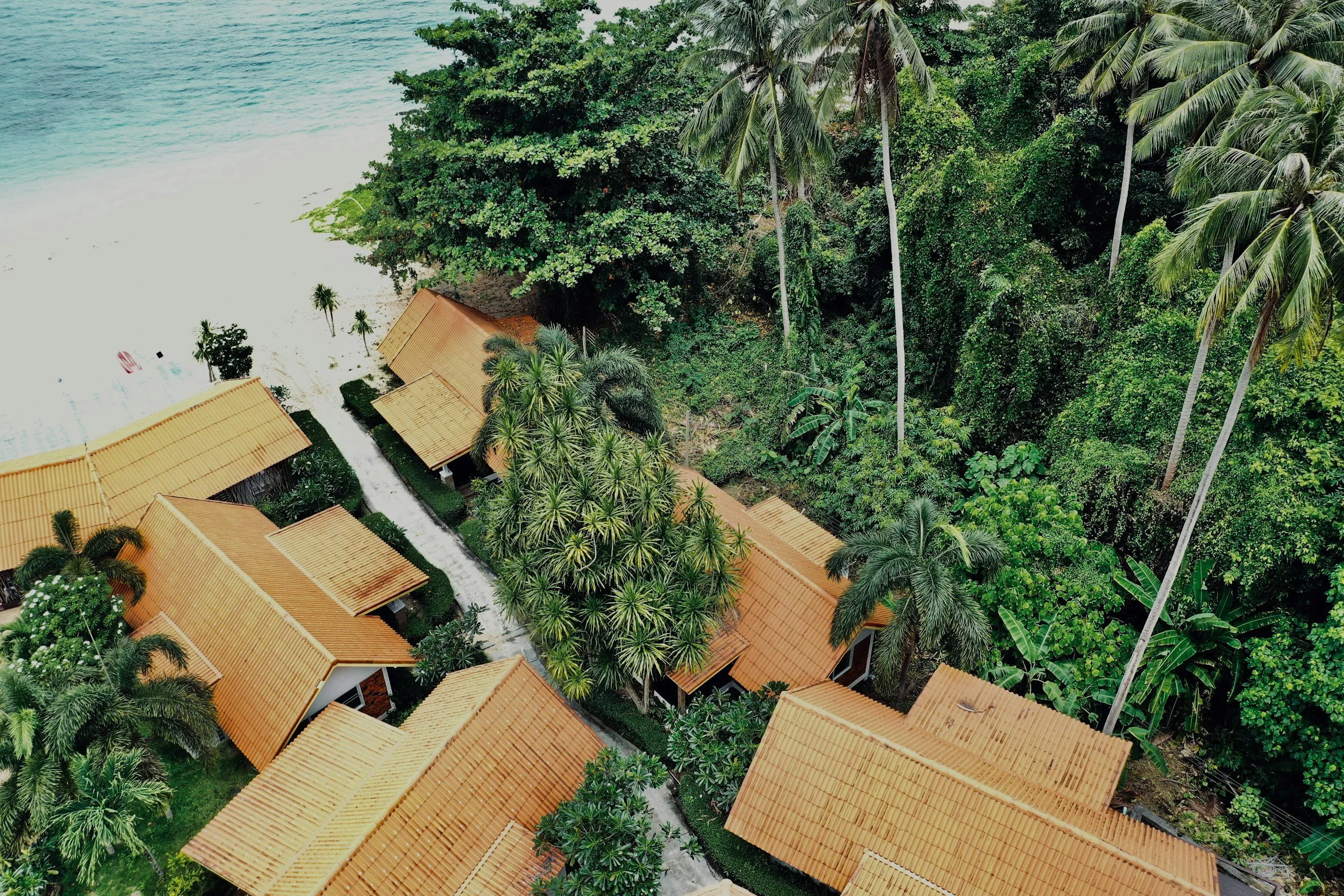 Aerial view of a tropical beach resort with orange-roofed buildings, lush green trees, and tall palm trees along the shoreline.