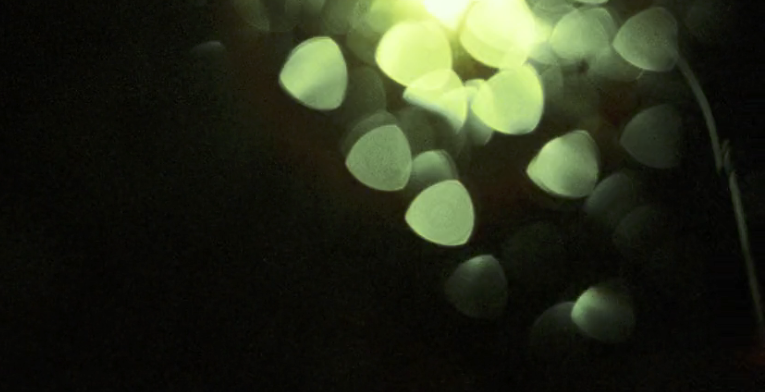 Screenshot 2025-10-03 at 9.19.36 PM.png