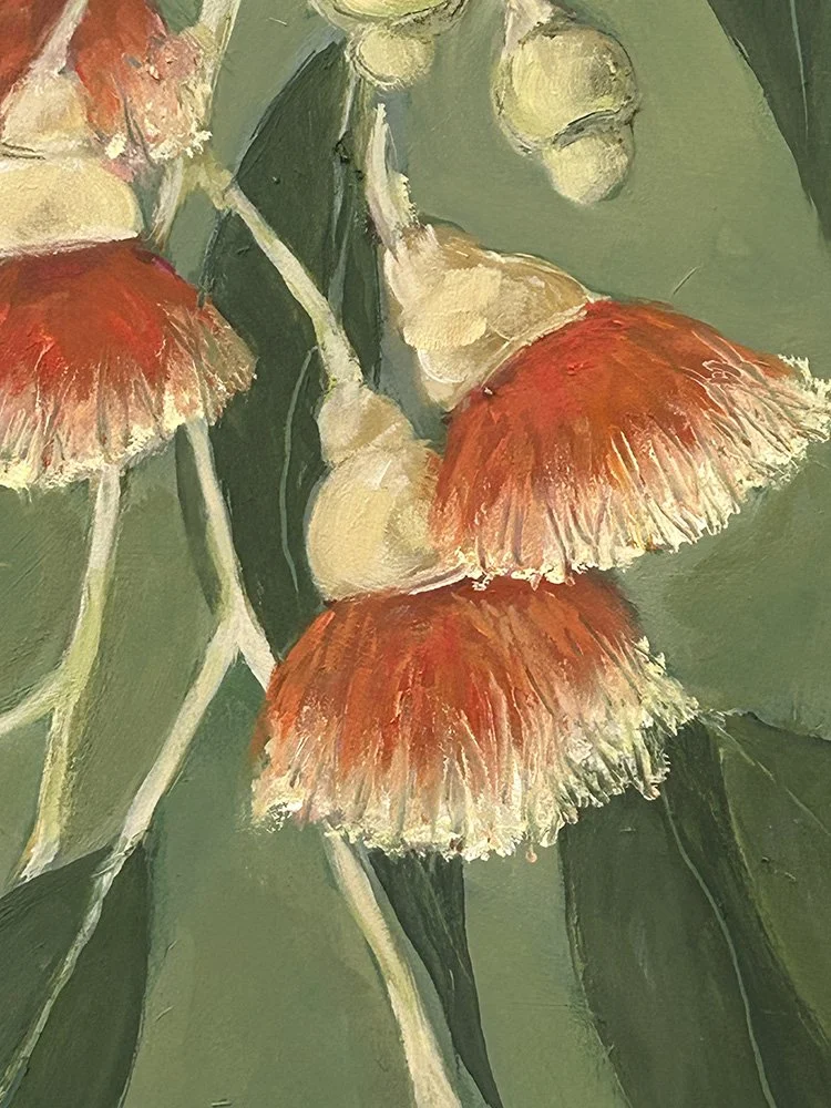 Corymbia detail 1 of 1