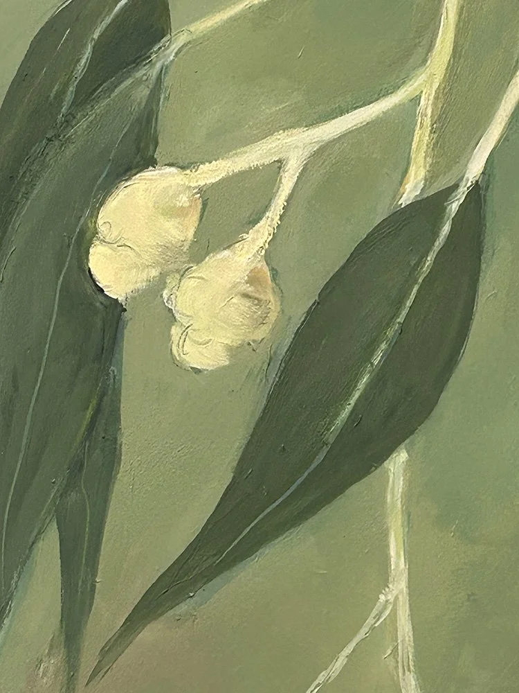 Corymbia detail 2 of 2