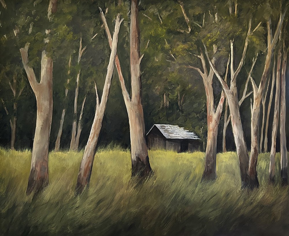 Hidden in the Forest