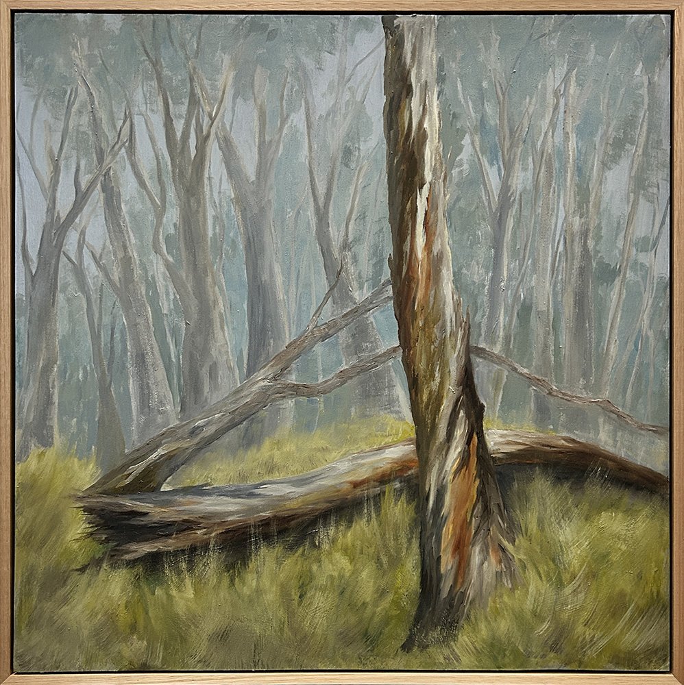 Winter in the Highland Forest framed