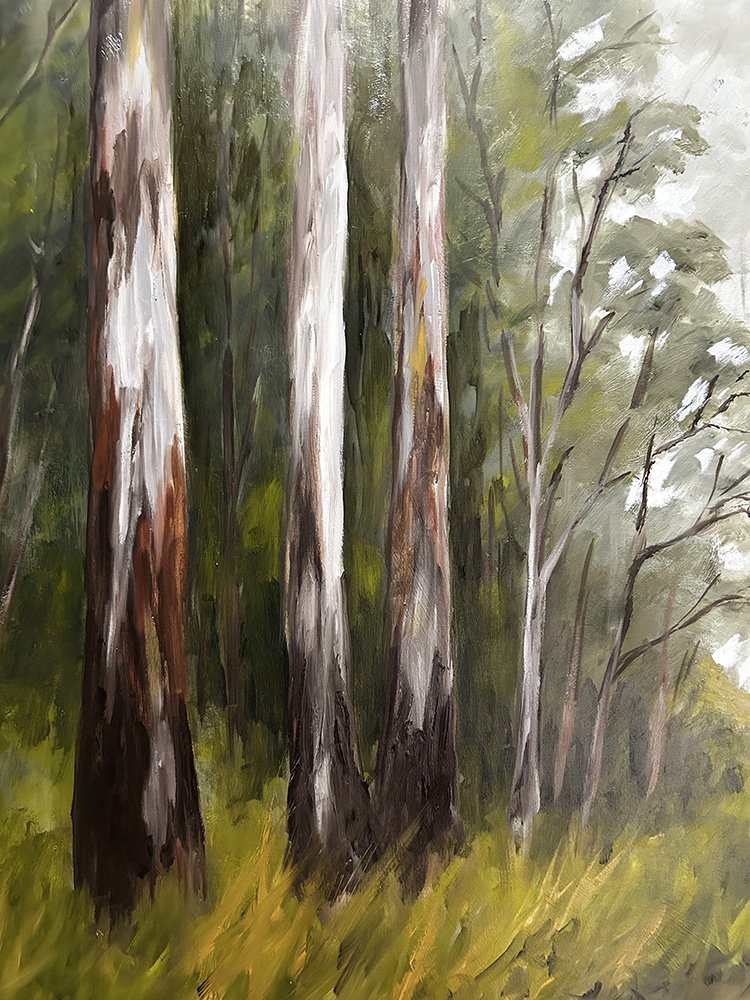 Mountain Ash Otway Ranges detail 1 of 2