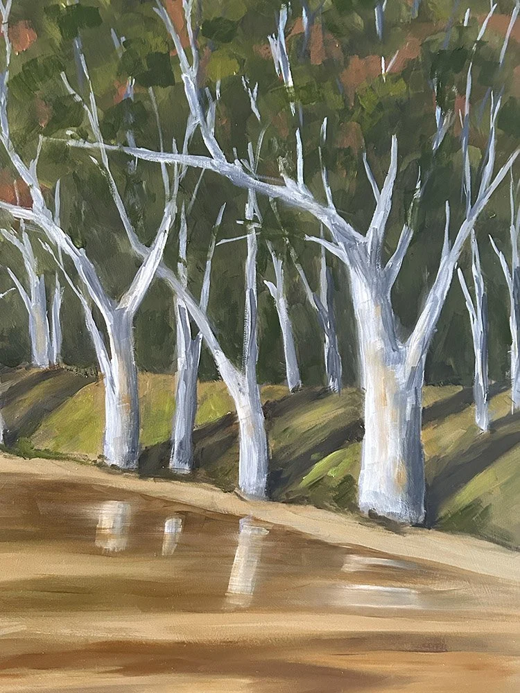 Trephina Creek detail 1 of 2