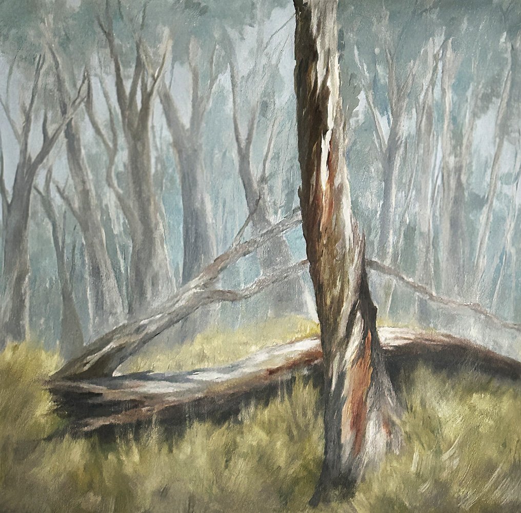 Winter in the Highland Forest