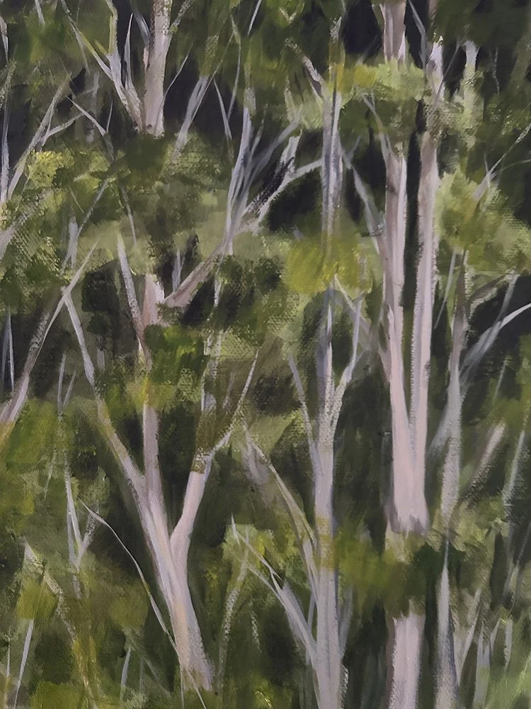 Cockle Creek detail 2 of 2