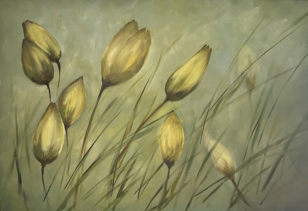 Wild Tulips