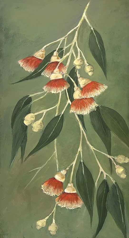 Colourful floral wall art by Daylesford Artist Pam Gleeson depicting the blossoms of the Australian eucalypt Corymbia ficifolia