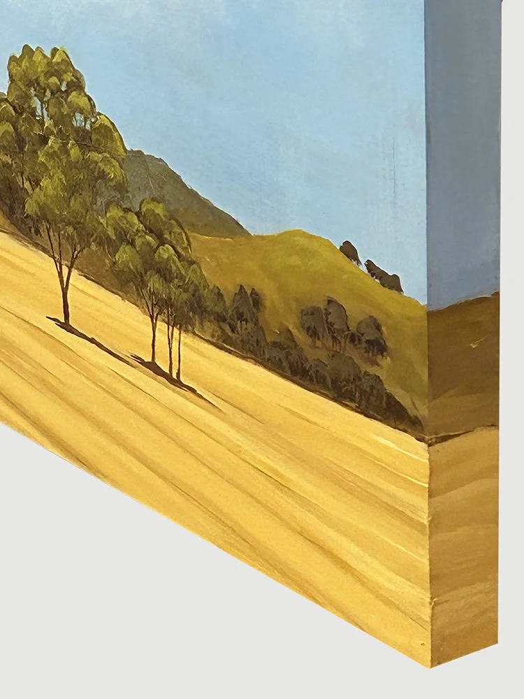 Somewhere South of Wagga bottom right corner oblique