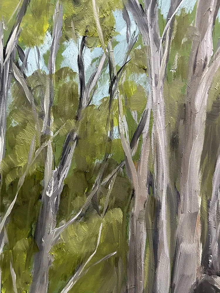 Sailors Creek detail 2 of 2