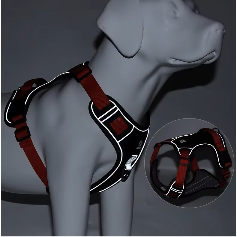 harnessreflect.png