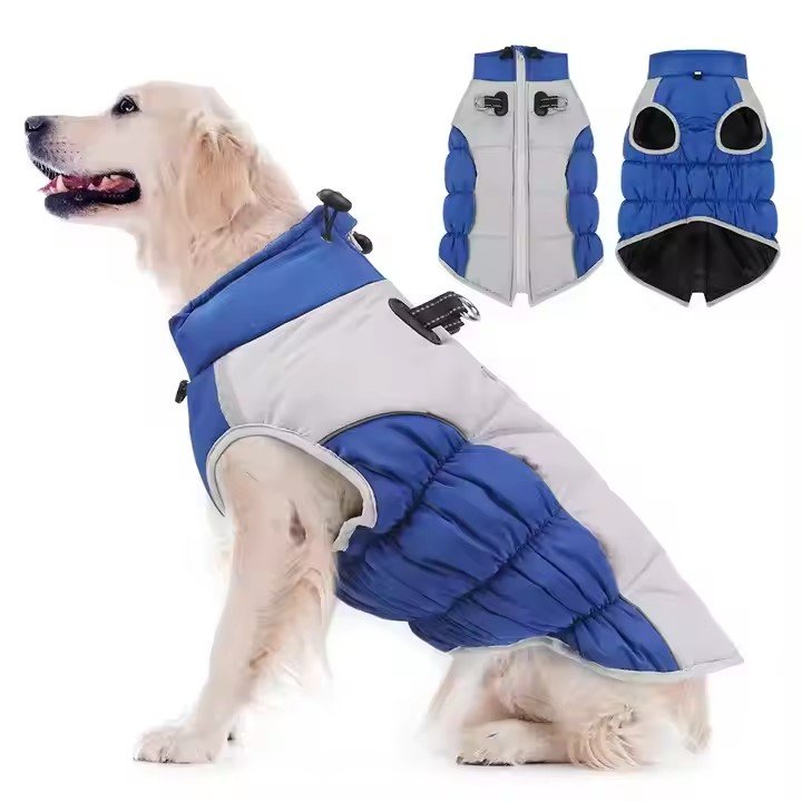 World of Paws | Explore Innovative Pet Care