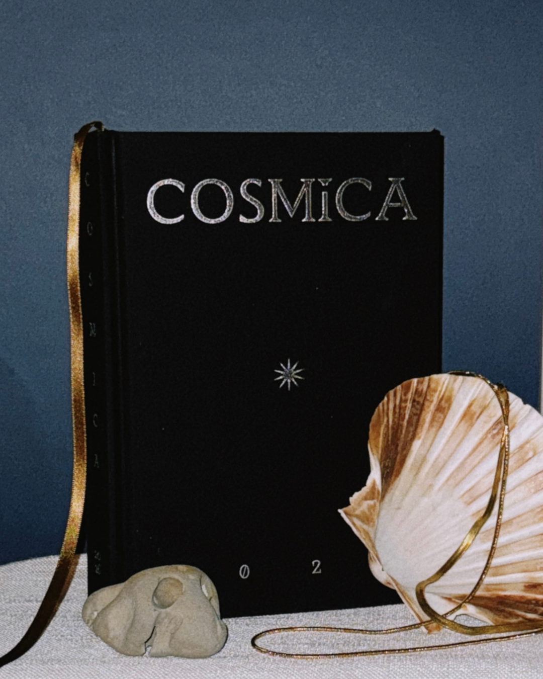 cosmica - photo (20).png