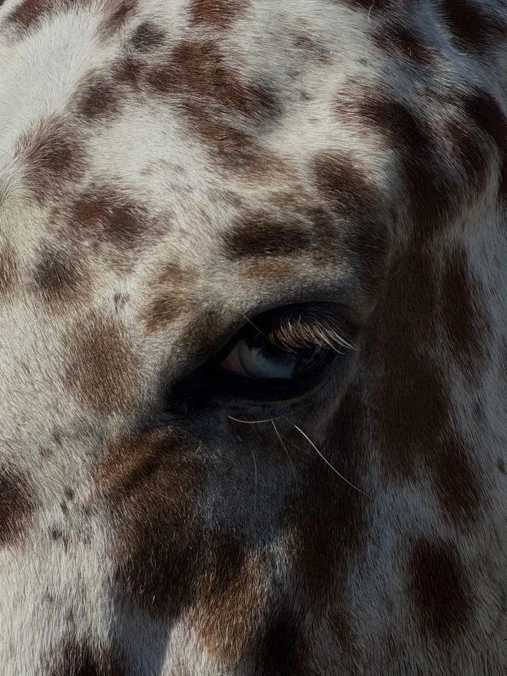 MUSES: Merging Data &amp; Creativity with Hephzibah Oyobo