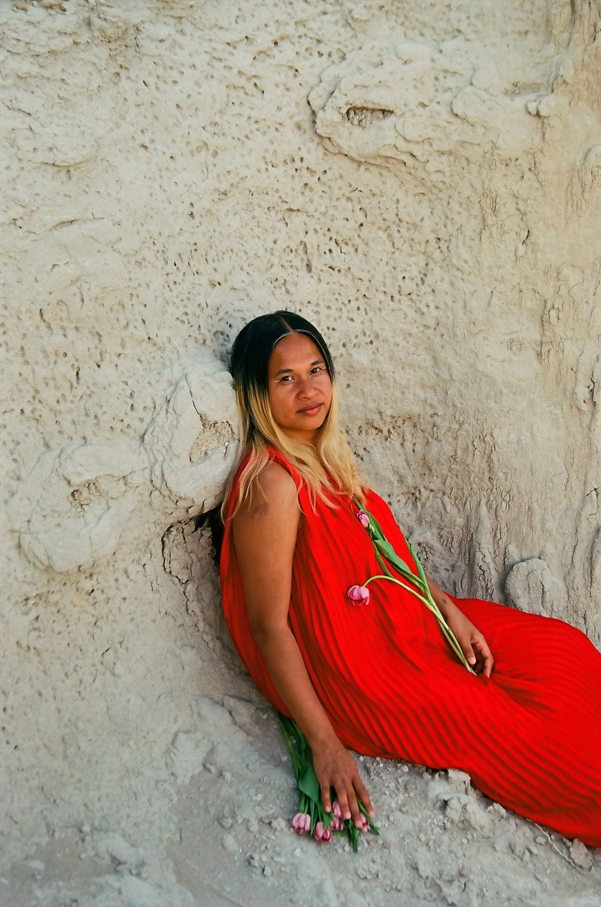 vertical_red_dress (1).jpeg
