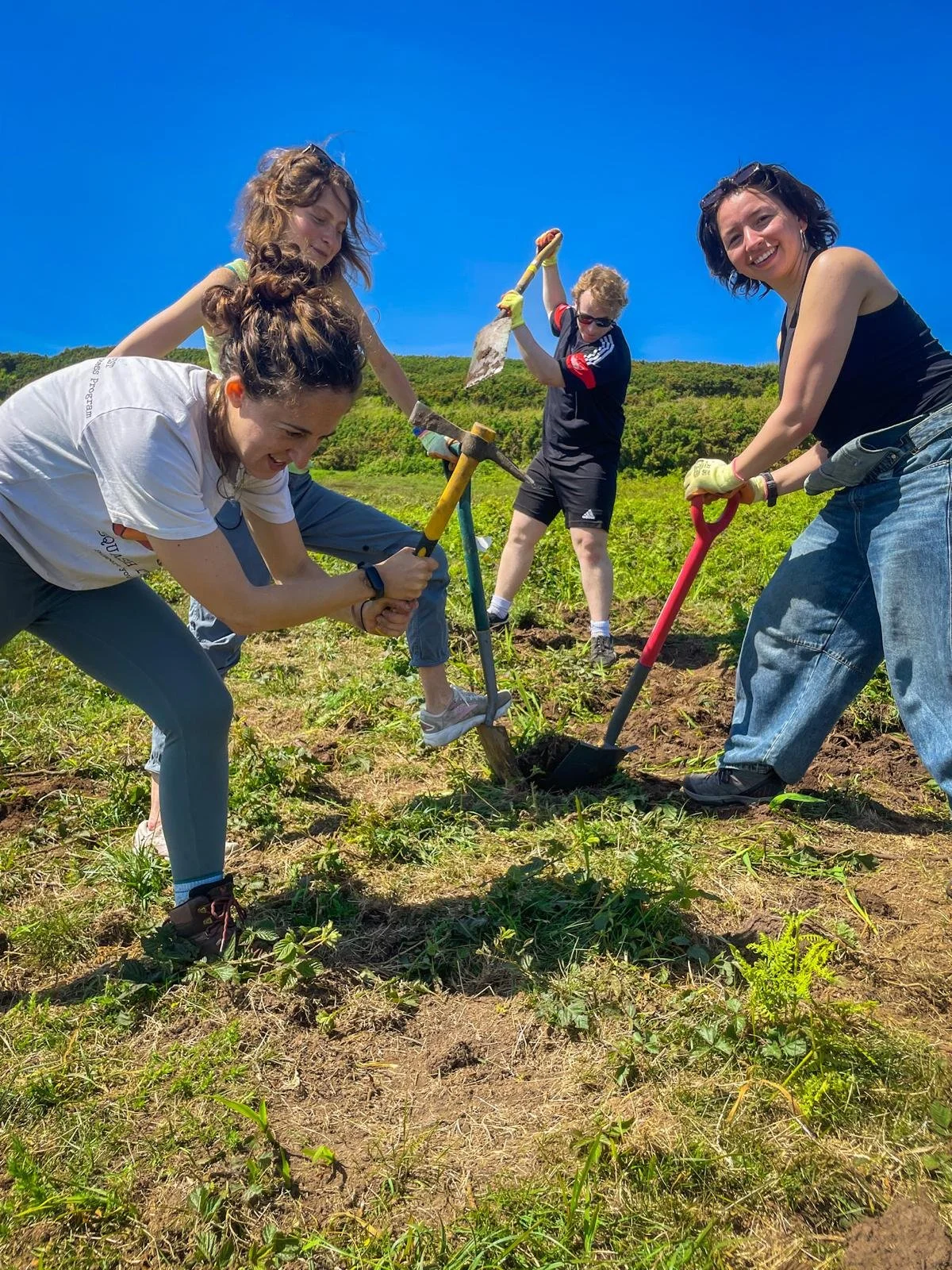 TRIP: volunteering day at Hastings Country Park.