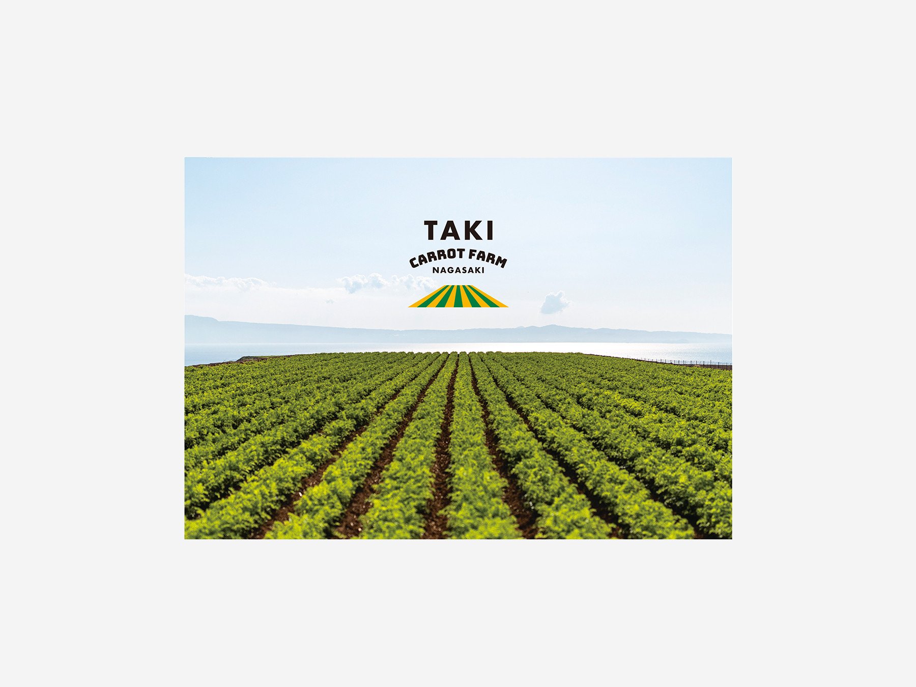 タキ・キャロットファーム_リブランディング