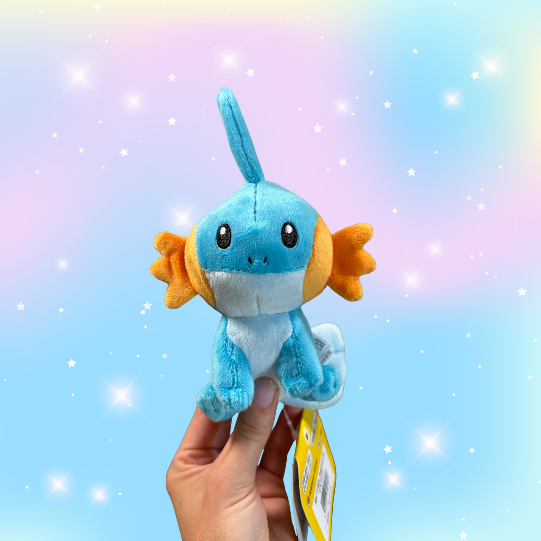 Mudkip Plush - Small