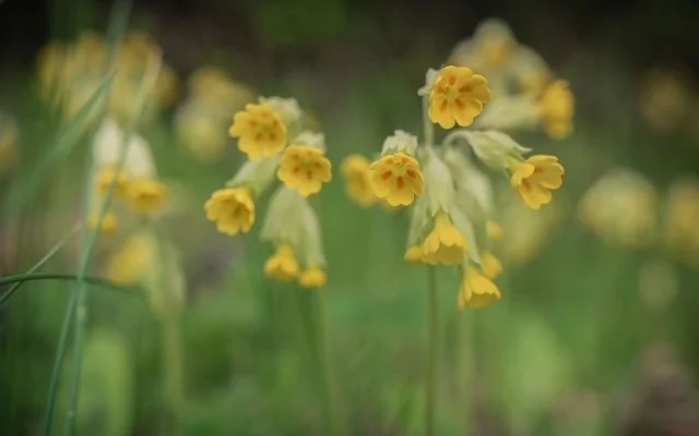 Working with the Distracted Mind