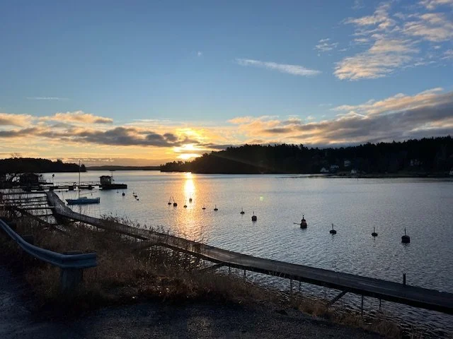 The Science of Slowing Down: Why Mindfulness Works for the Nervous System