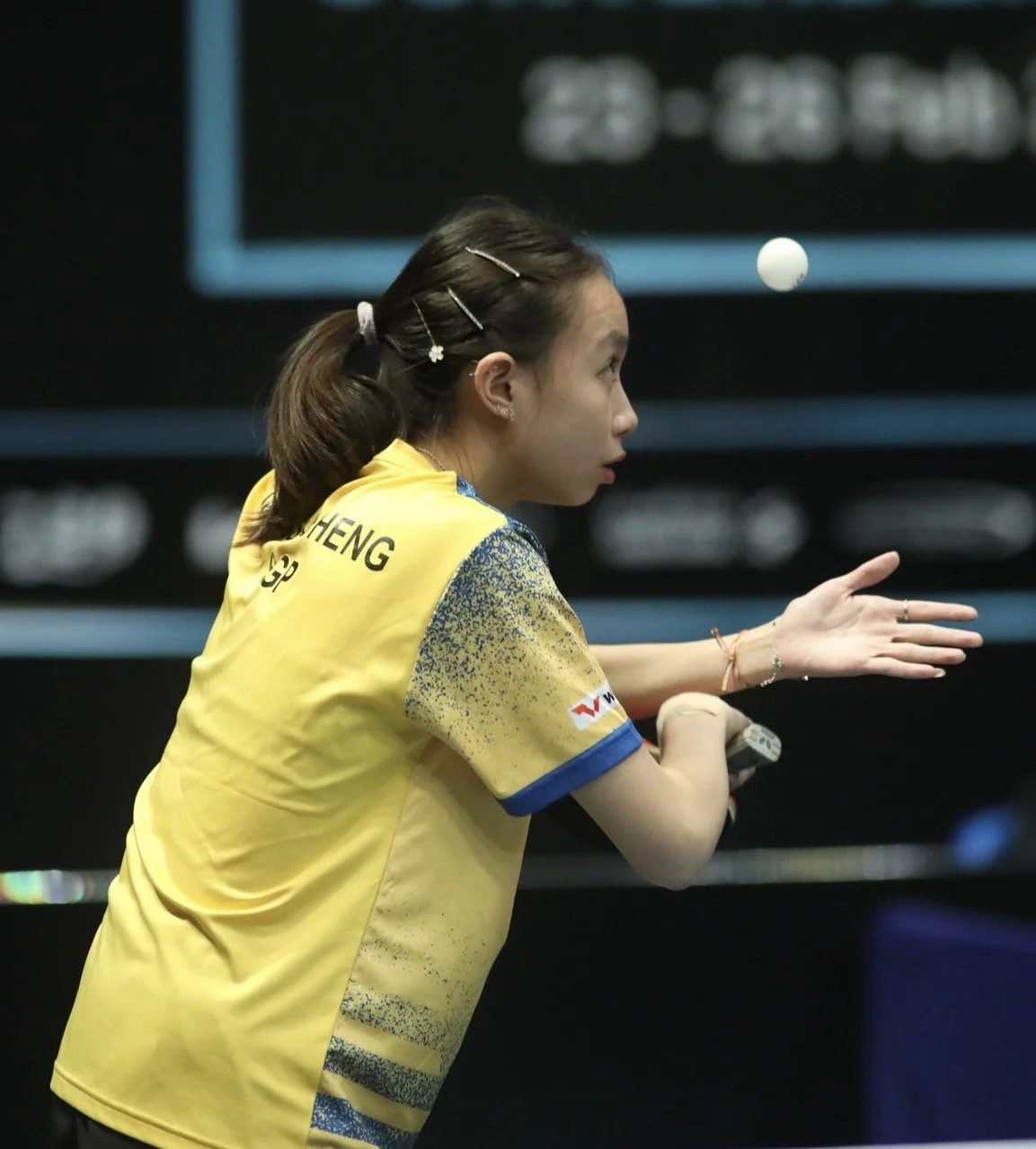 Learn Table Tennis: The Ultimate Guide to Improving Your Skills