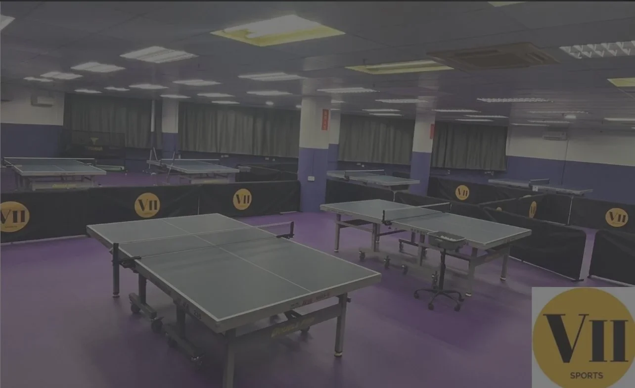 table tennis singapore