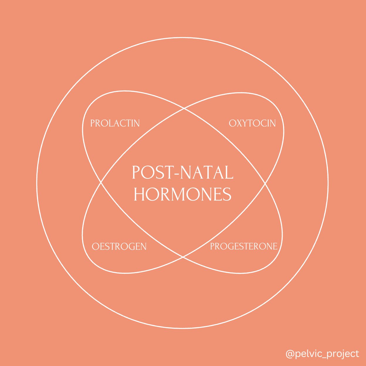 Post-Partum Hormones 