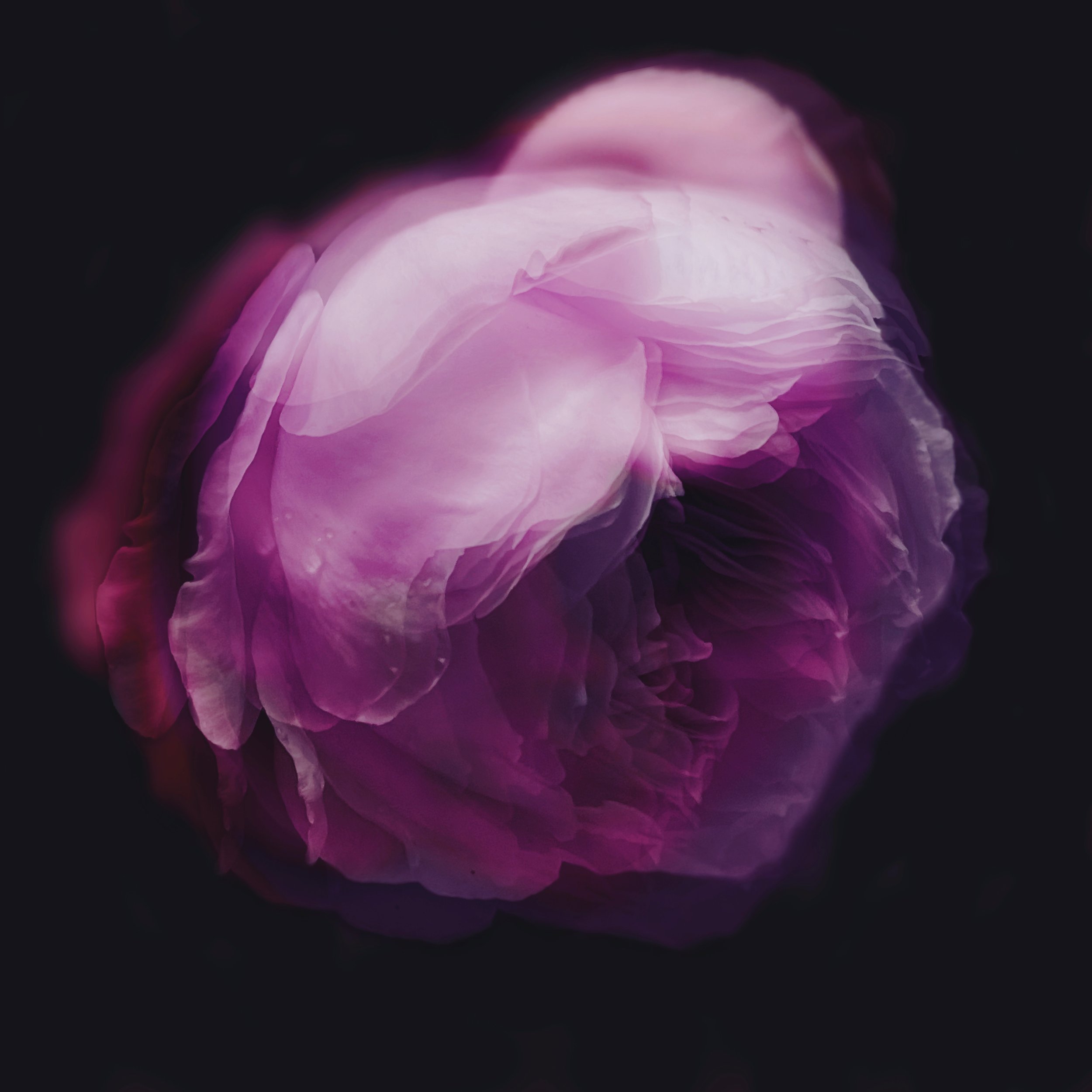8ED3E7A4-A959-449F-B144-0AF52E0861AA.jpeg