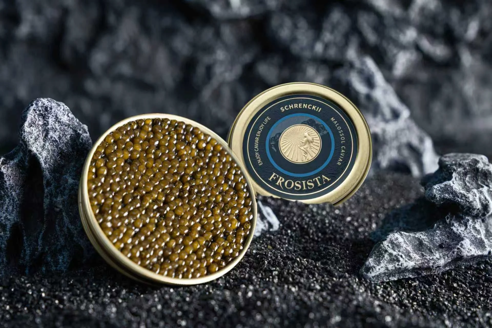 WhatsApp Image 2026-01-19 at 11.26.23 AM.jpeg