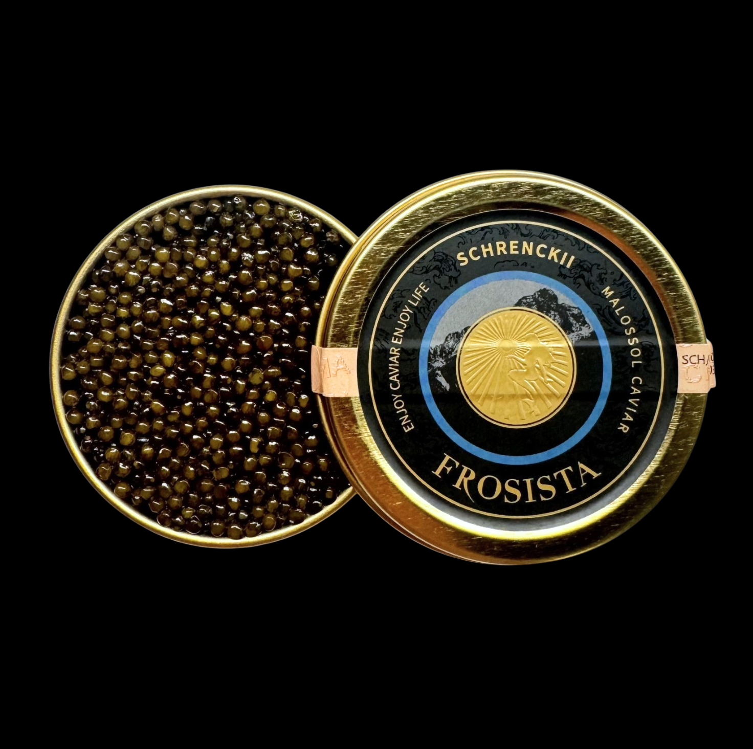 Schrenckii no bckgrnd.png