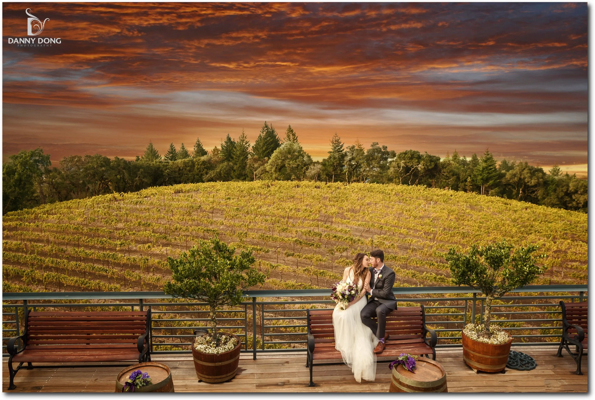 Napa Wedding Planners Vs. DIY: Cut Stress, Elevate Style