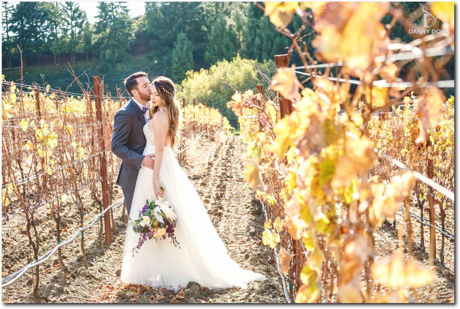 Newly married couple Matt and Colleen embrace in a local vineyard.