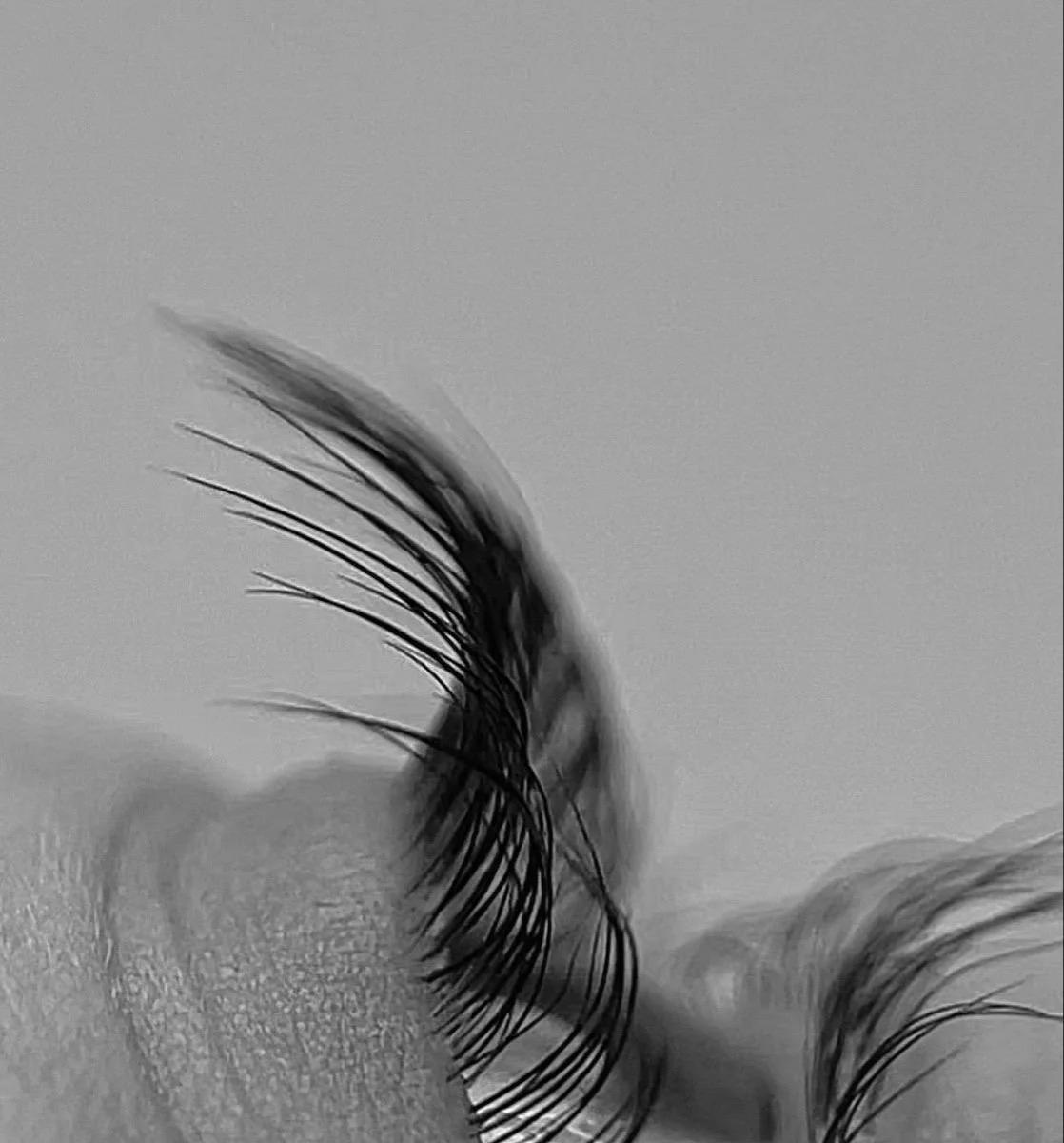 Why Cluster Lashes Are the Future of At-Home Beauty | Olash