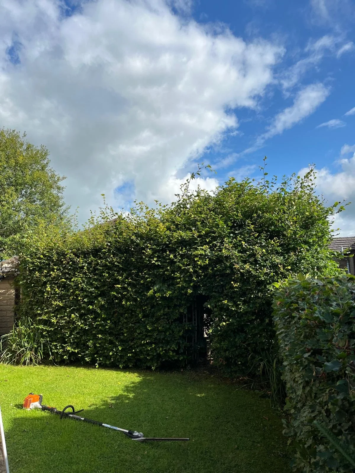 Hedge Reduction & Shaping Before