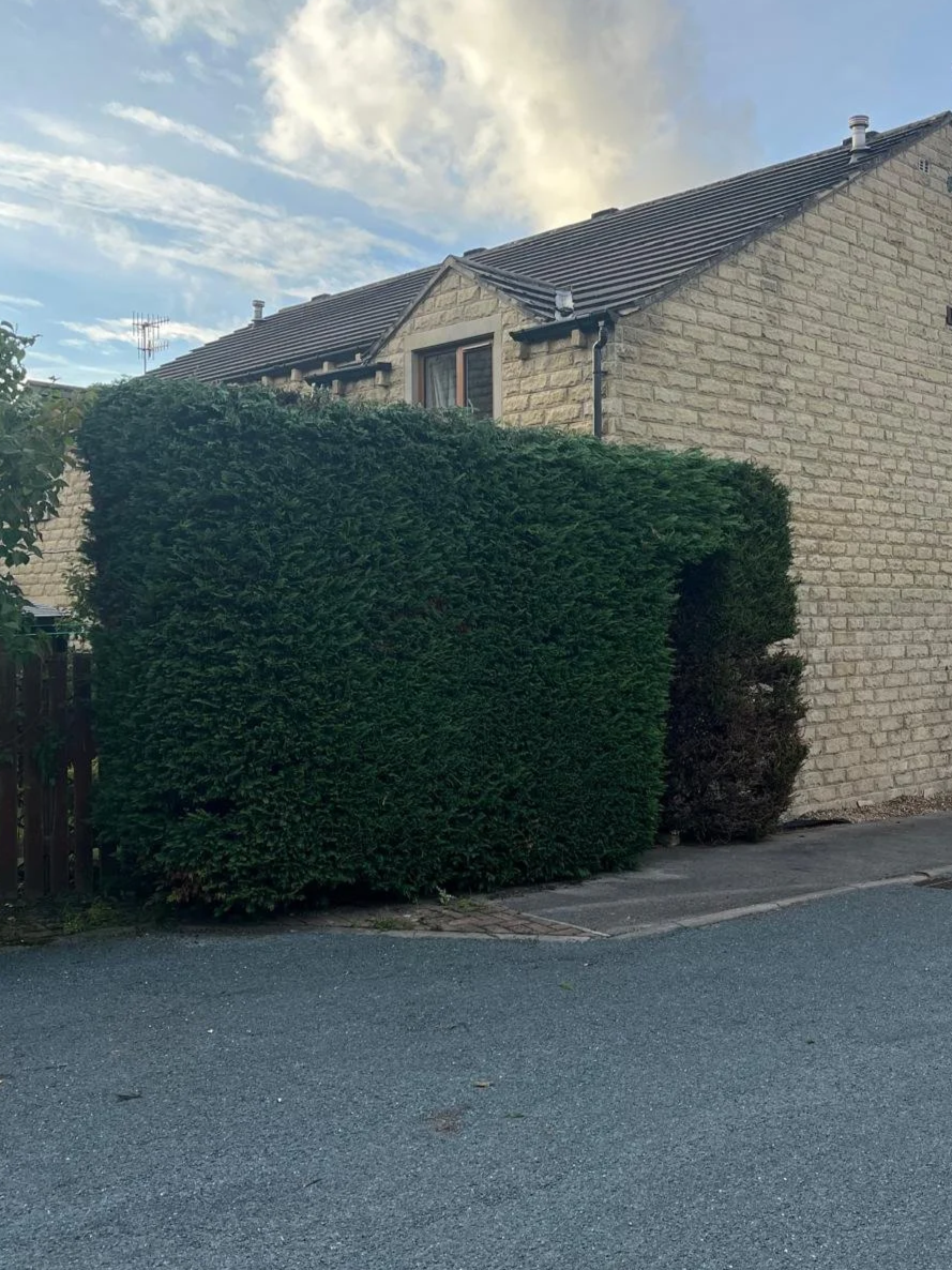 Hedge Reduction & Removal After
