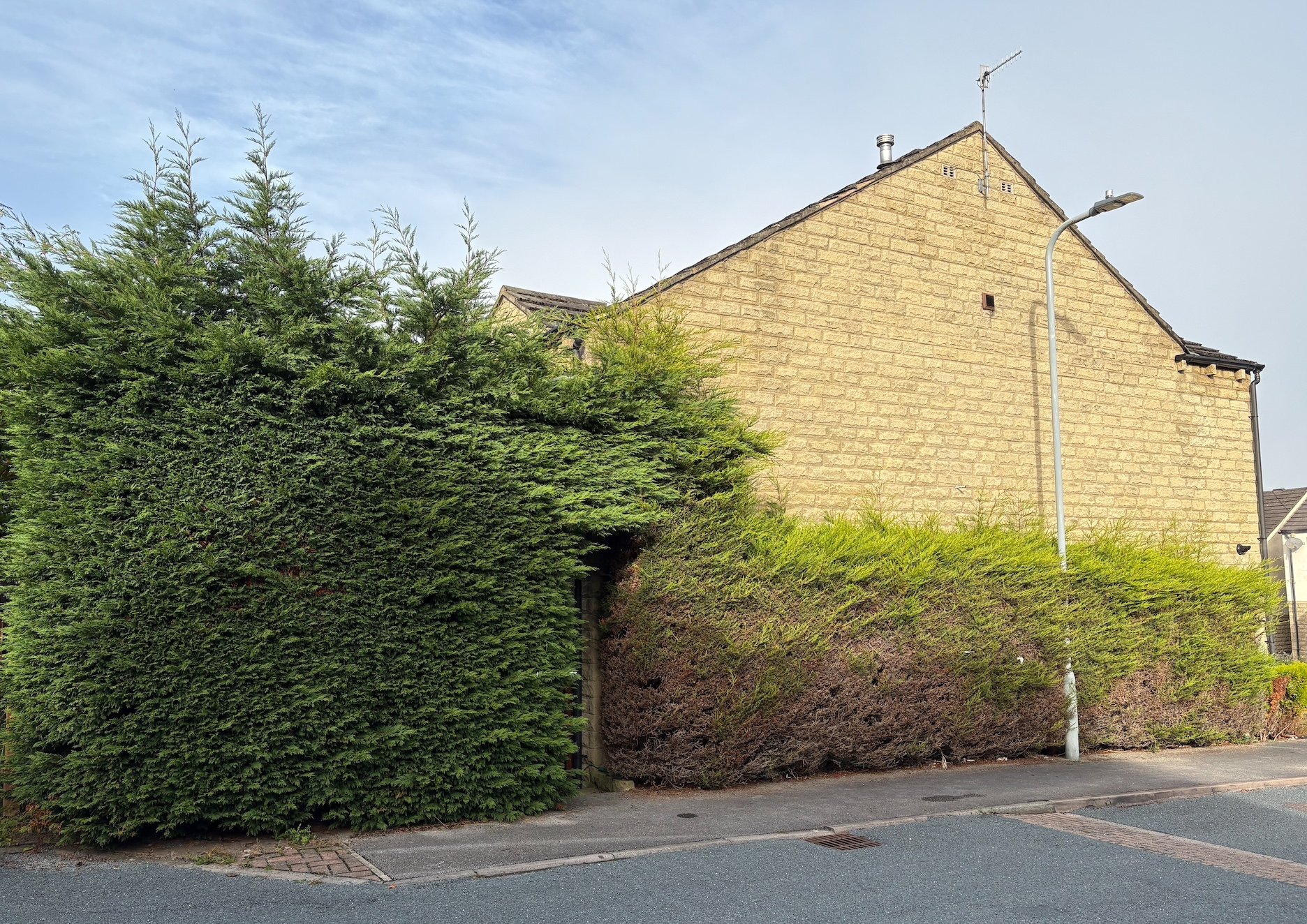 Hedge Reduction & Removal After
