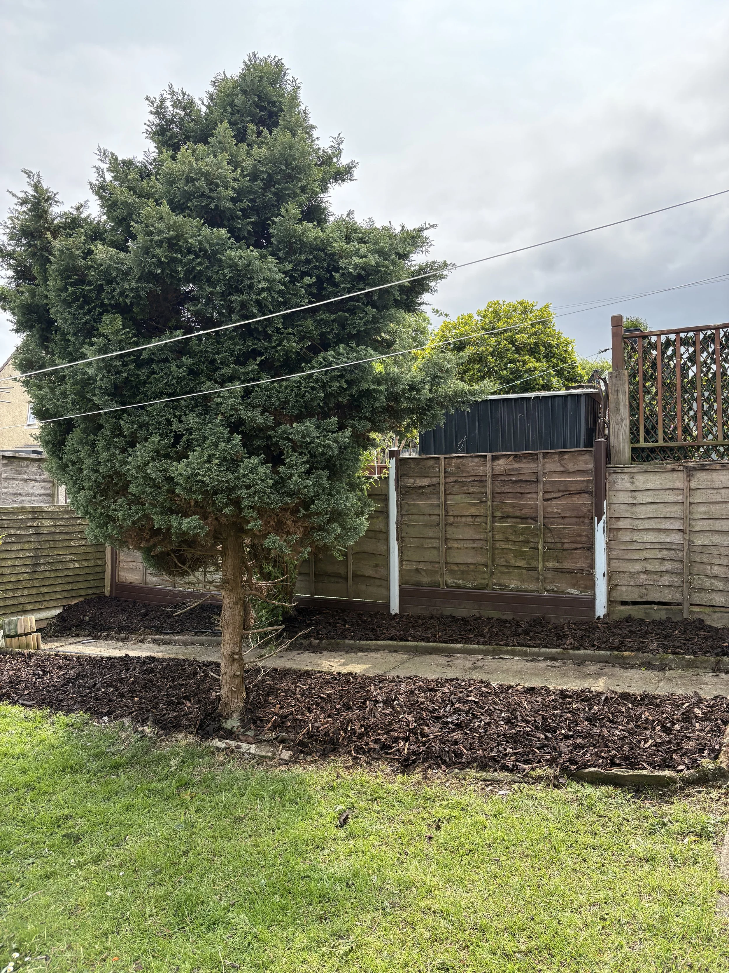 Garden Clearance After