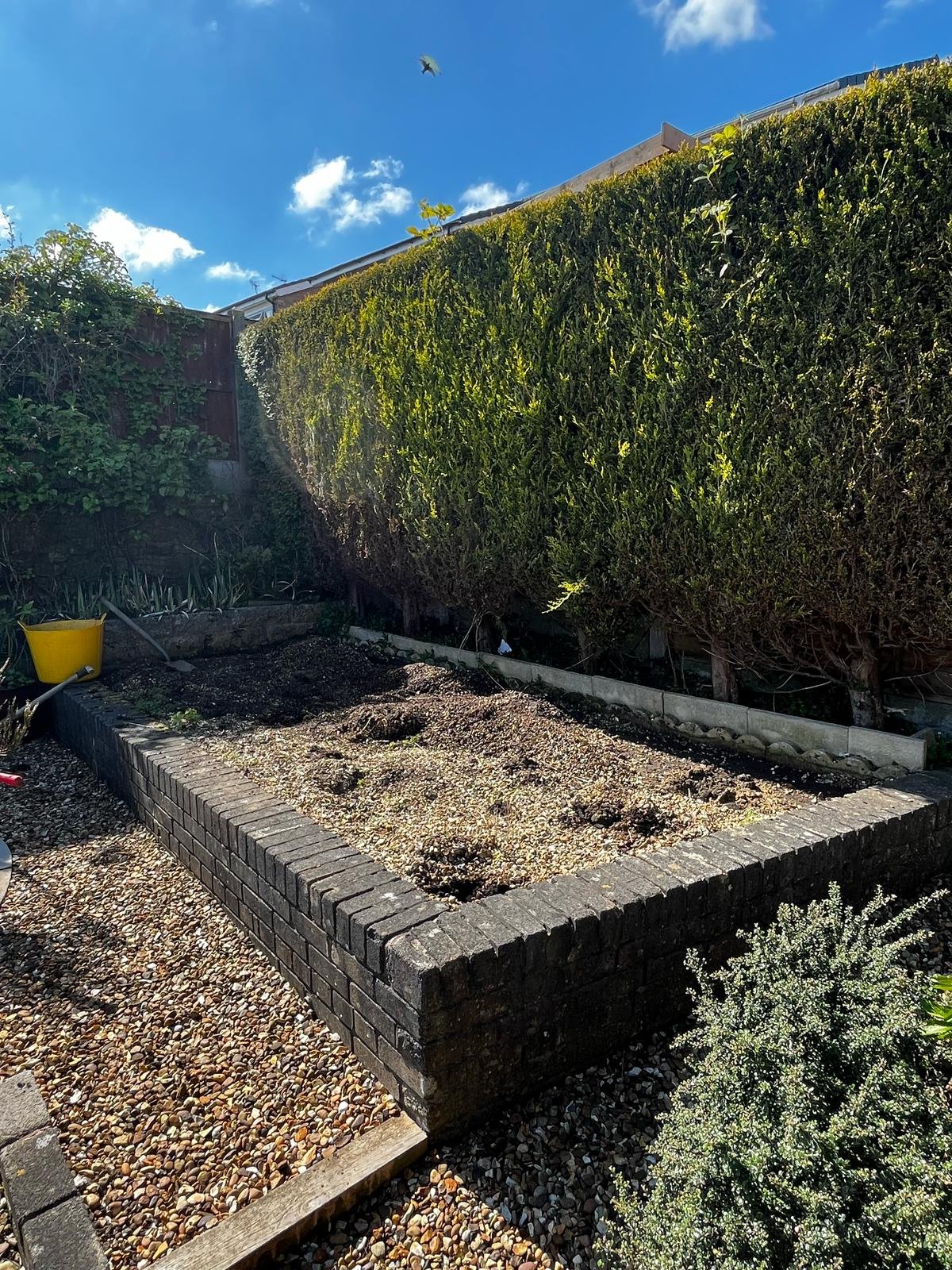 Raised Bed Before