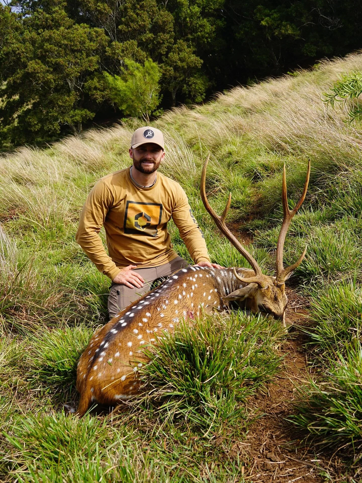 Dropped into Maui, ran it solo, and dropped two studs in one week. That&rsquo;s how you handle a self-guided hunt. 🦌💥

#MauiHunting #AxisDeer #GuidedHunt #DoubleDown #Kaupo #maui #meatinthefreezer #MauiHuntingExpeditions