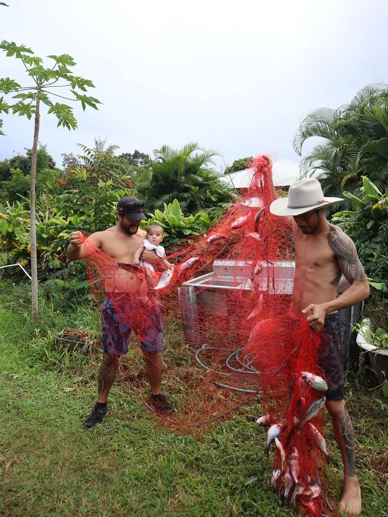 Providing like our kupuna did, one throw at a time.

#MauiLife#HawaiianStrong#AlohaʻĀina
#ThrowNet#throwNetFishNet#HanaNoʻeau #FeedThePeople#ForTheKeiki#MauiStyle
#IslandLiving#mauinokaoi