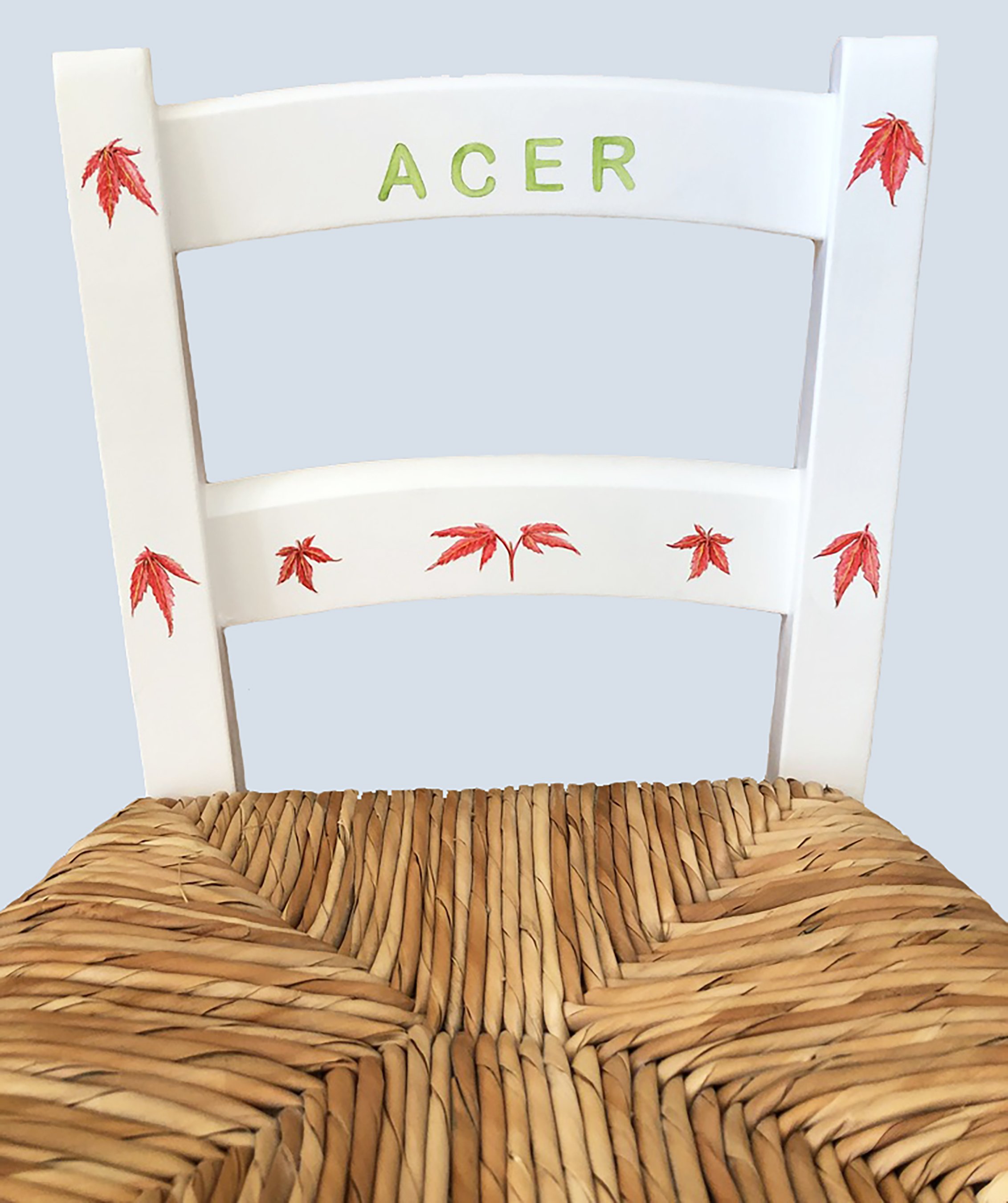 Acer.jpg
