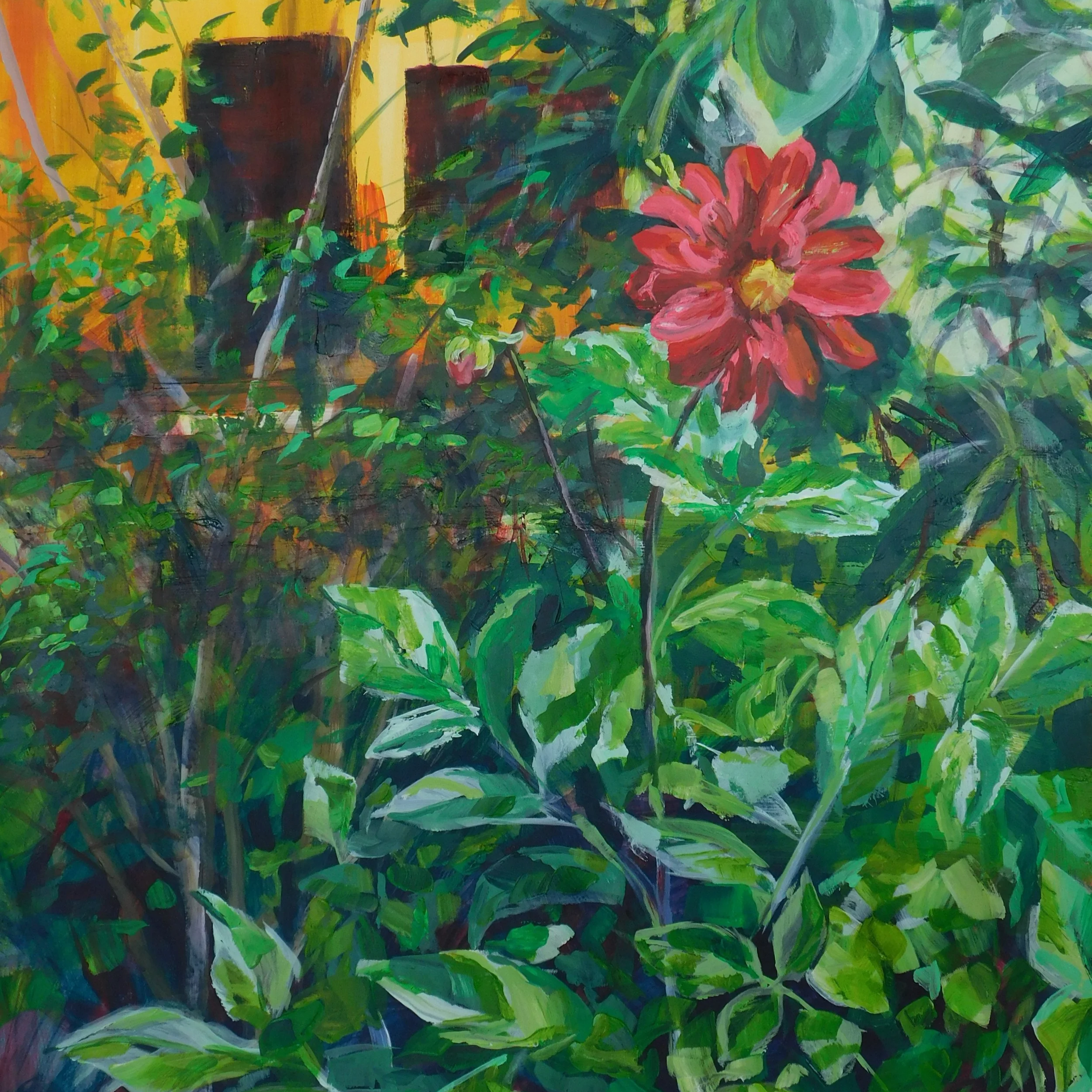  Jackie Marshall-Ringer 