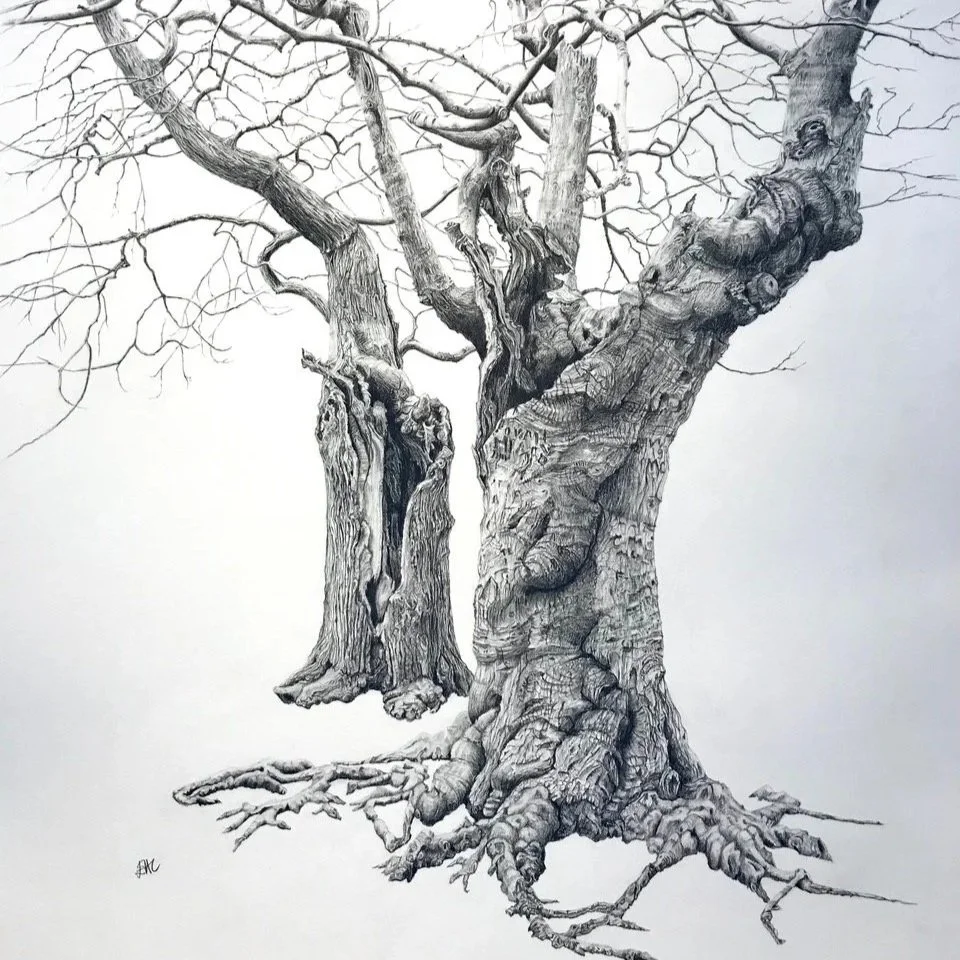  Liz Dury 
