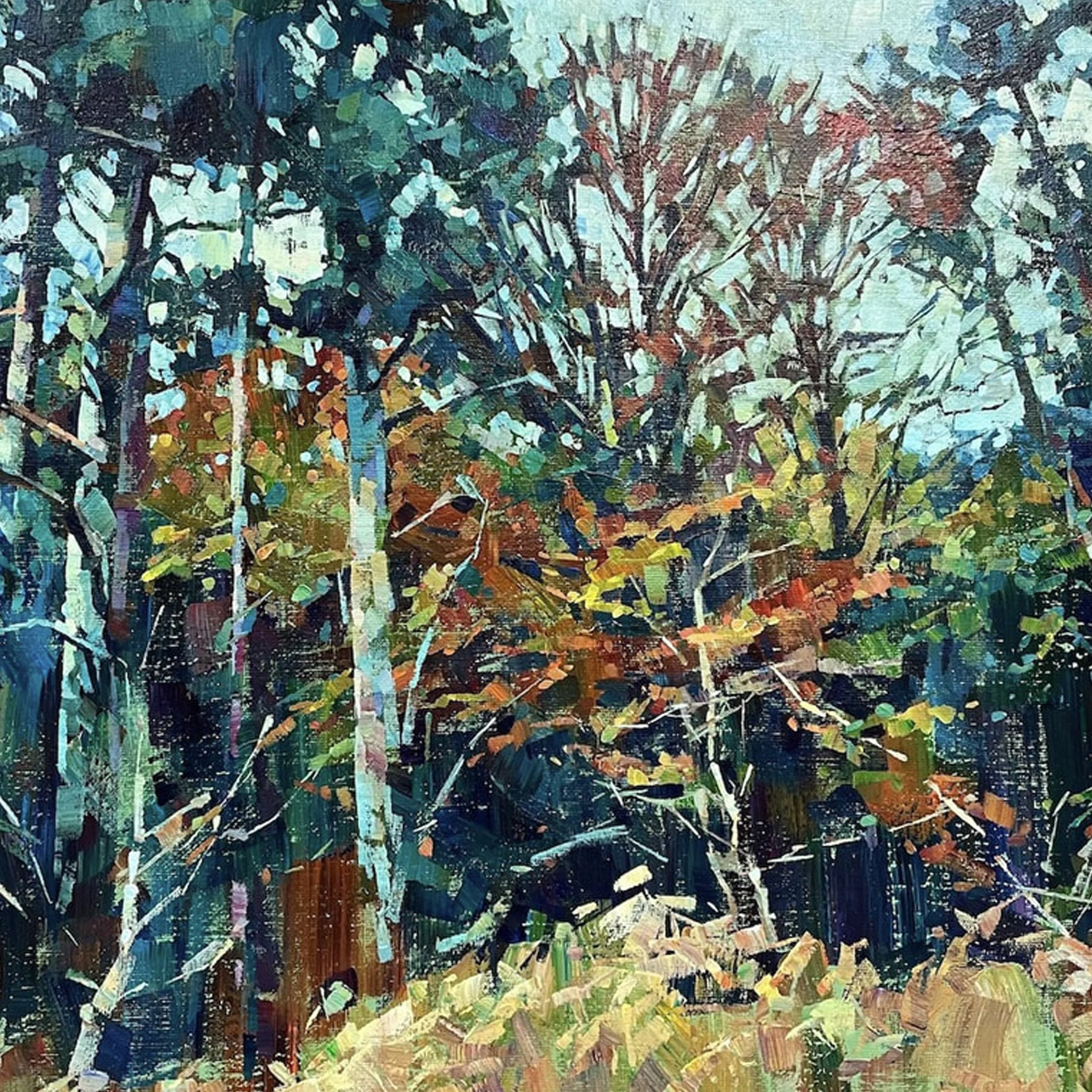 Hashim Akib image.jpg