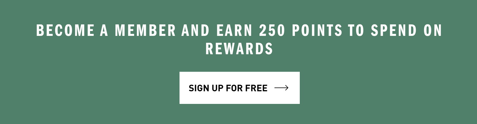 discount example of adidas website.png