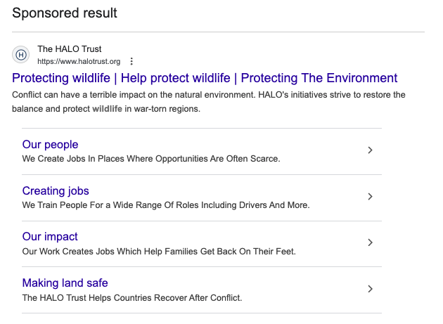 HALO google ads example