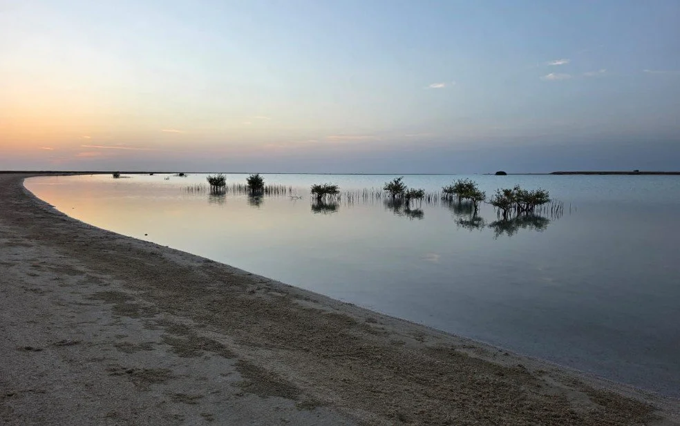 Safeguarding Sudan’s Natural Heritage: SUDIA and UNESCO Partner for the Recovery of Protected Areas
